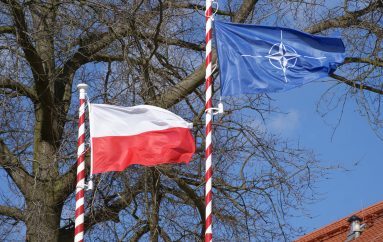 Piknik wojskowy z okazji XX rocznicy wstąpienia Polski do NATO